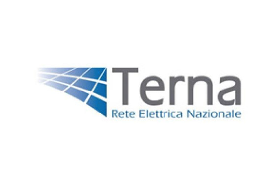 partner_terna.jpg
